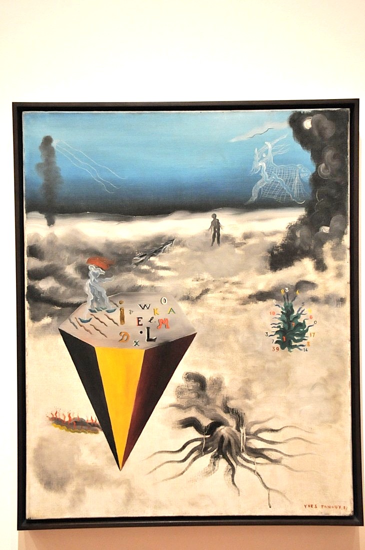 2015-1-20moma 076_01.JPG