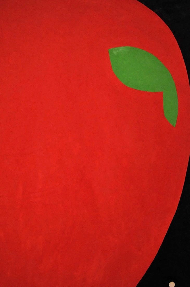 2015-1-20moma 184_01.JPG