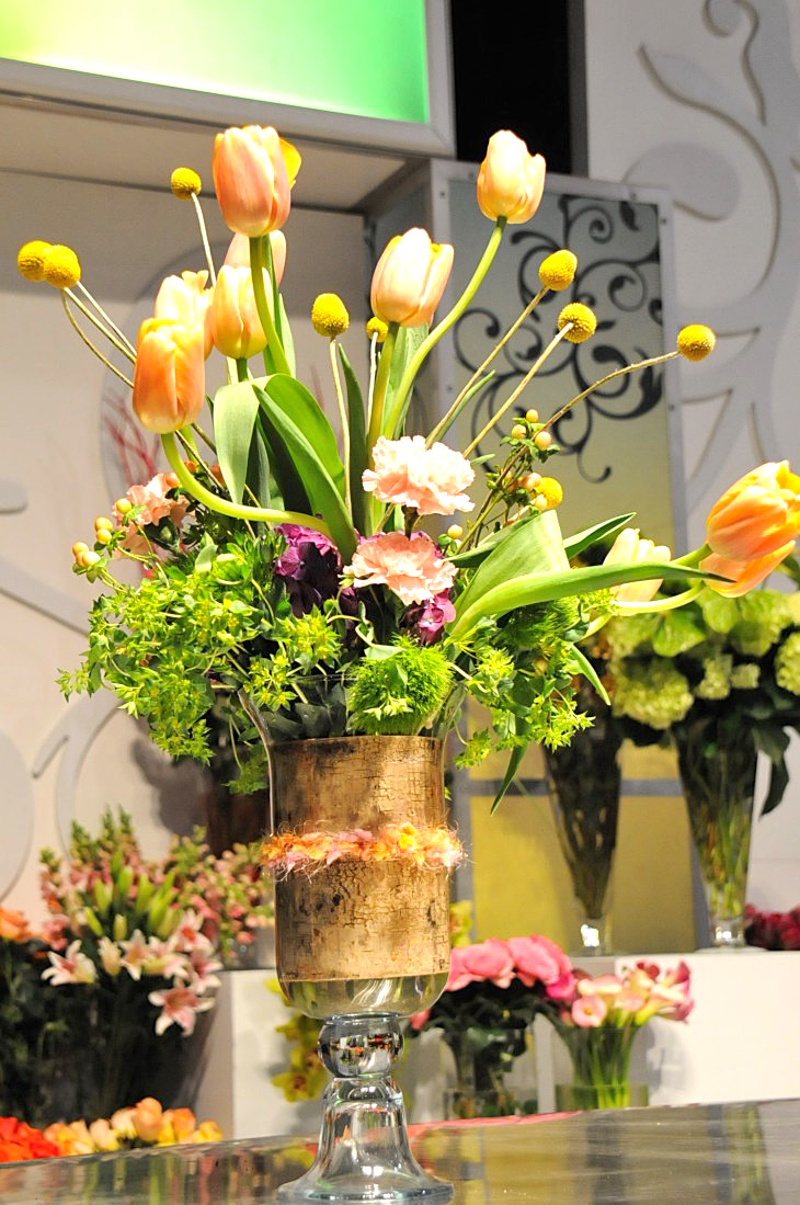 2015-3-2PhilaFlowerMuseum 1359_01.JPG