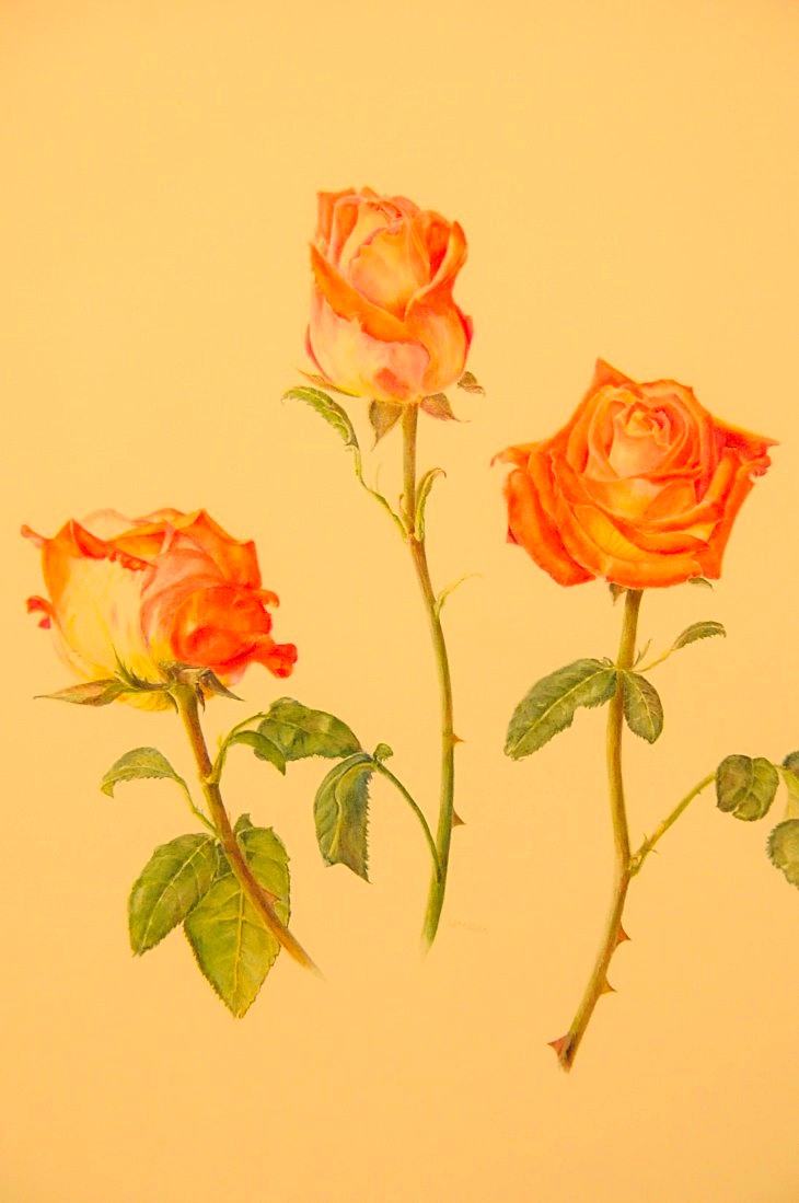 2015-3-2PhilaFlowerMuseum 1558_01.JPG