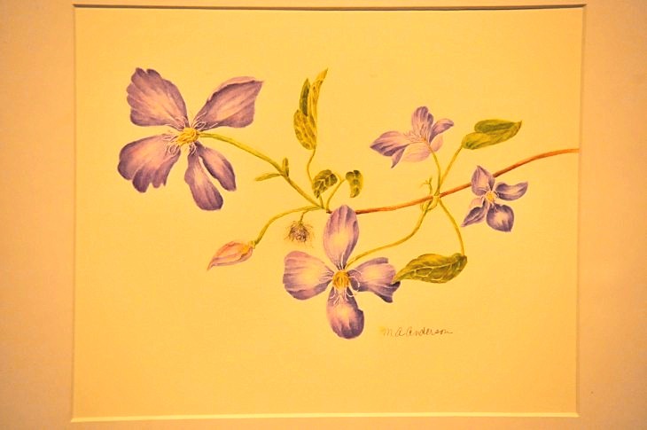 2015-3-2PhilaFlowerMuseum 1562_01.JPG