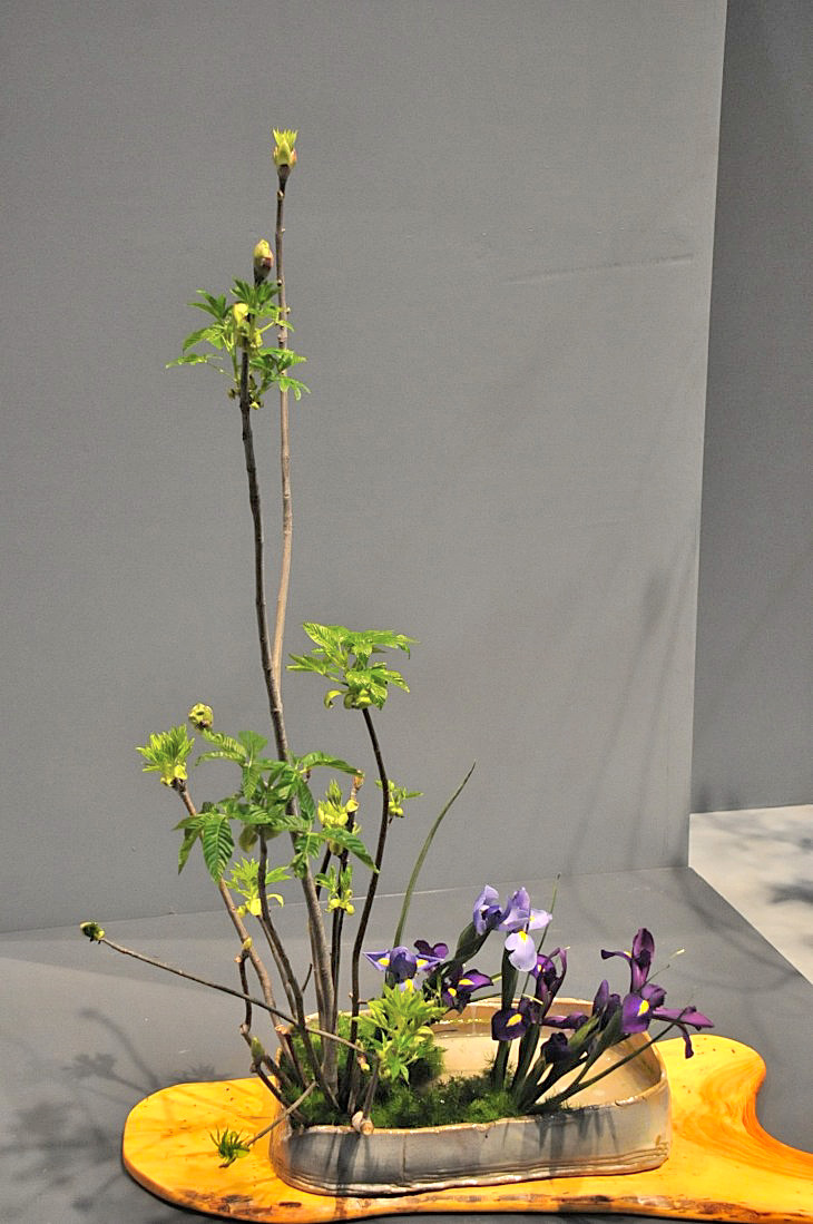 2015-3-2PhilaFlowerMuseum 1281_01.JPG