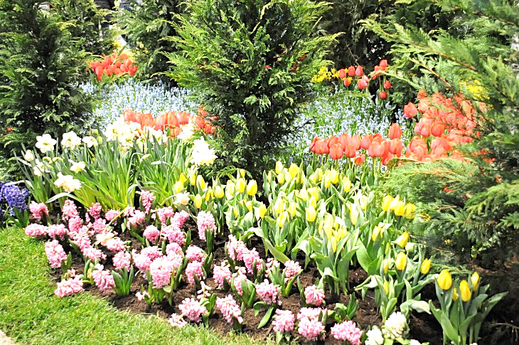 2015-3-2PhilaFlowerMuseum 1292_01.JPG