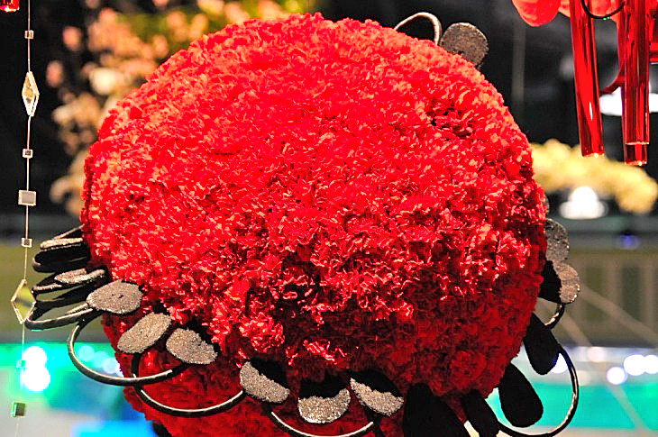 2015-3-2PhilaFlowerMuseum 1237_01.JPG