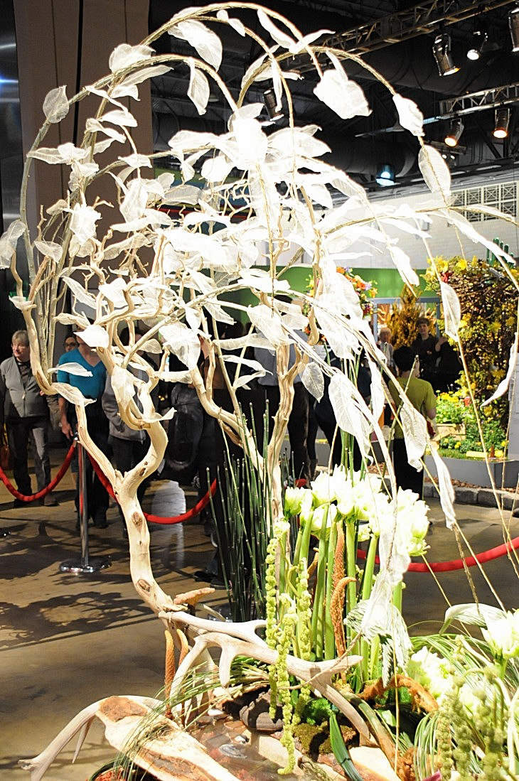 2015-3-2PhilaFlowerMuseum 1208_01.JPG