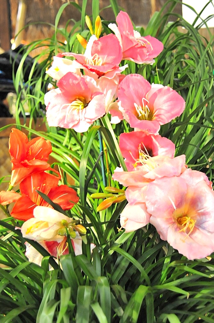 2015-3-2PhilaFlowerMuseum 1800_01.JPG