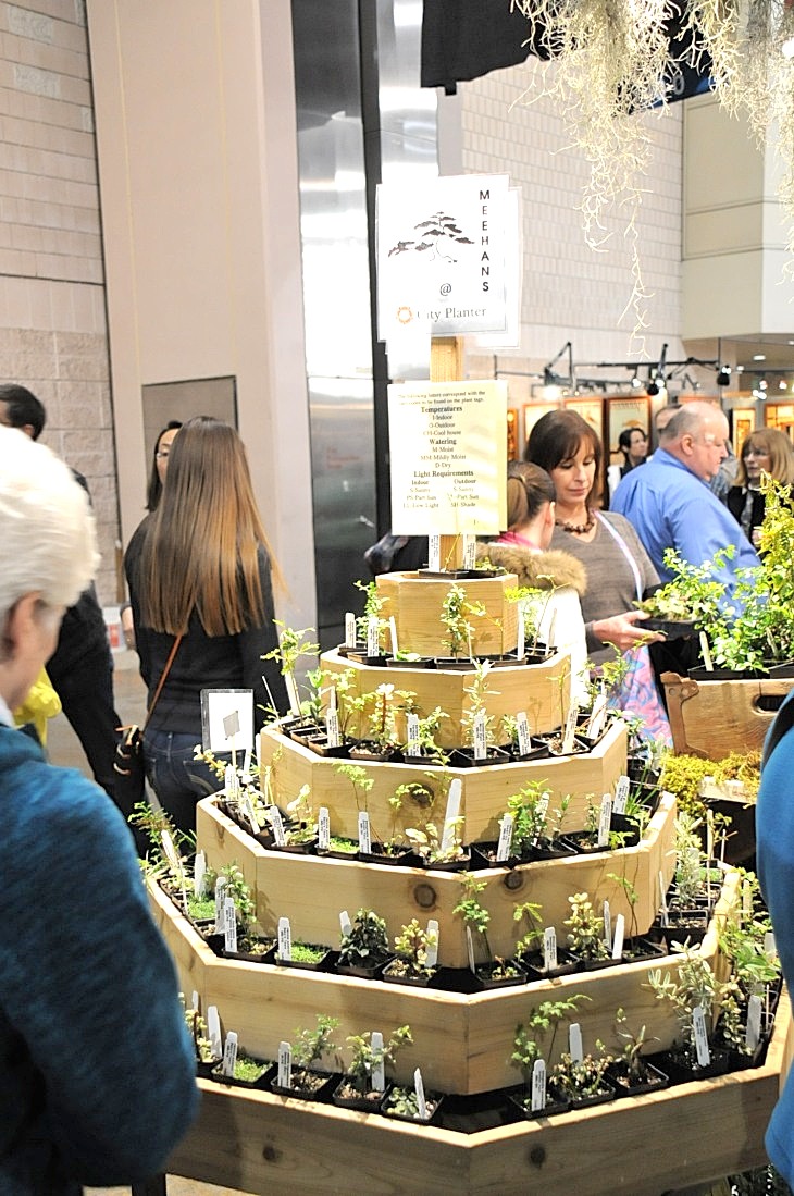 2015-3-2PhilaFlowerMuseum 1623_01.JPG