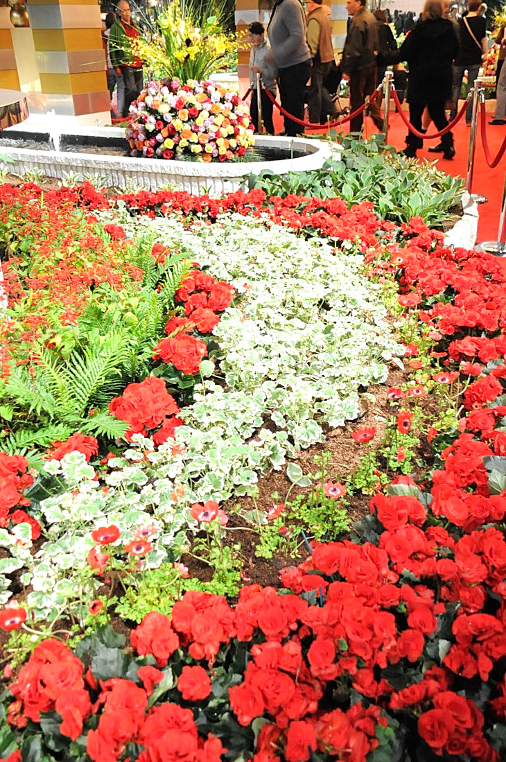 2015-3-2PhilaFlowerMuseum 1307_01.JPG