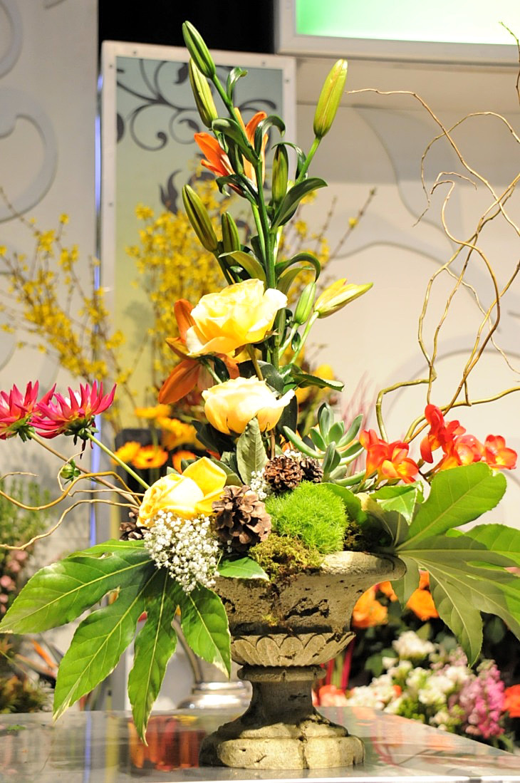 2015-3-2PhilaFlowerMuseum 1357_01.JPG