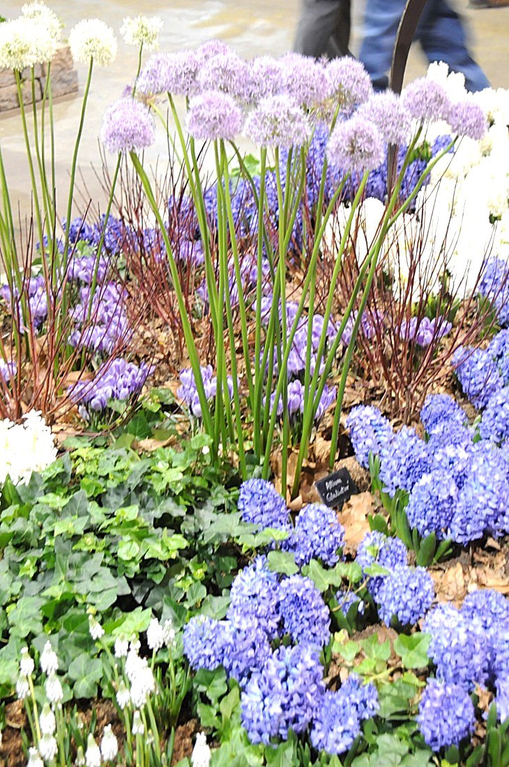 2015-3-2PhilaFlowerMuseum 1318_01.JPG