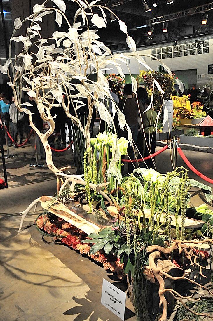 2015-3-2PhilaFlowerMuseum 1206_01.JPG