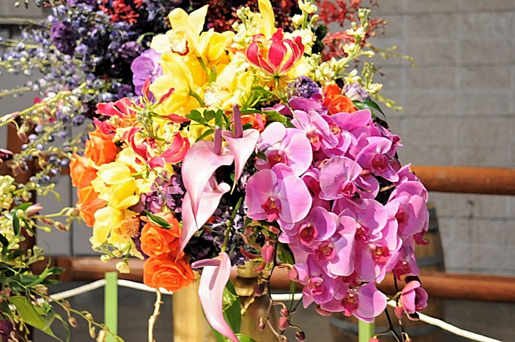 2015-3-2PhilaFlowerMuseum 1352_01.JPG