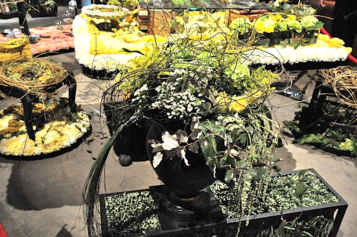 2015-3-2PhilaFlowerMuseum 1220_01.JPG