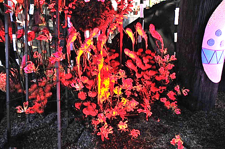 2015-3-2PhilaFlowerMuseum 1471_01.JPG