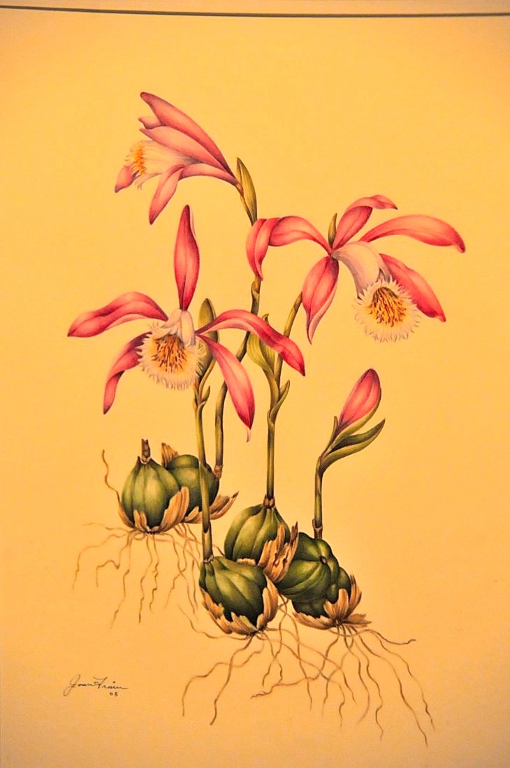 2015-3-2PhilaFlowerMuseum 1556_01.JPG