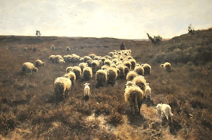 2015-3-2PhilaFlowerMuseum 1030_01.JPG