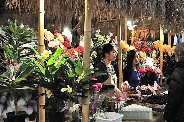 2015-3-2PhilaFlowerMuseum 1812_01.JPG