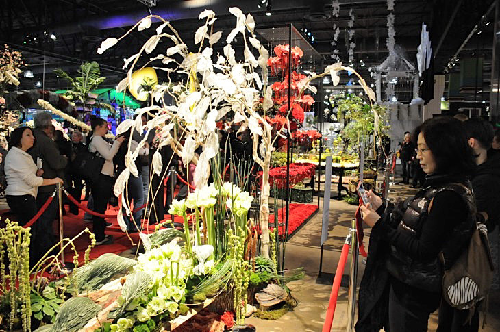 2015-3-2PhilaFlowerMuseum 1244_01.JPG