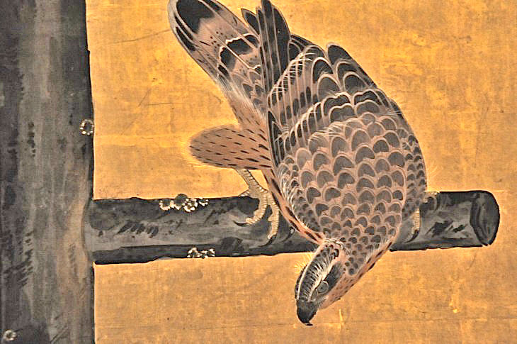 2015-3-2PhilaFlowerMuseum 774_01.JPG