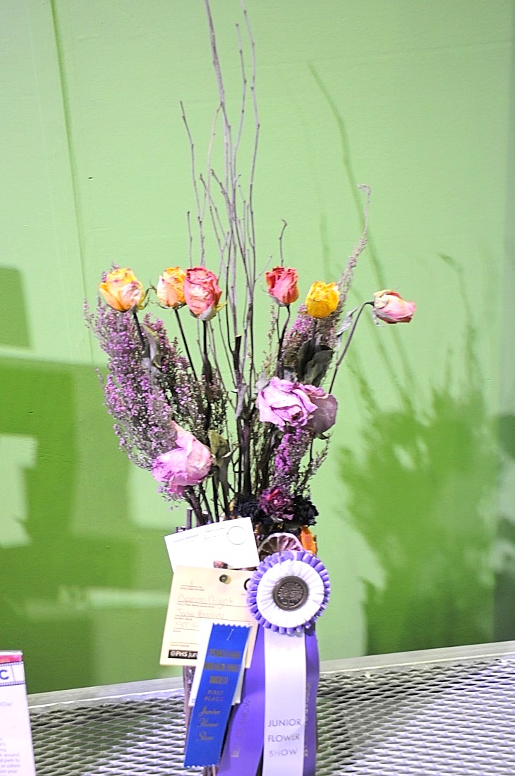 2015-3-2PhilaFlowerMuseum 1619_01.JPG