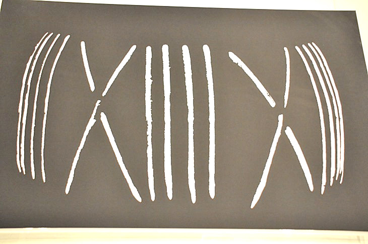 2015-3-2PhilaFlowerMuseum 822_01.JPG