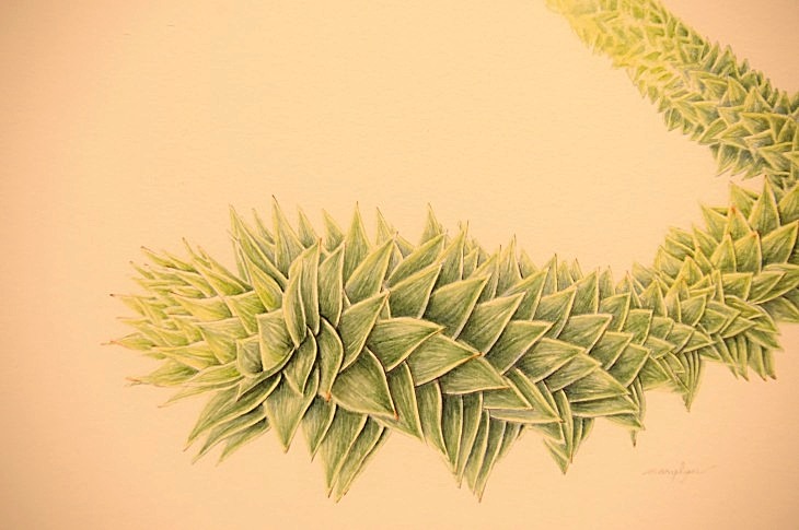 2015-3-2PhilaFlowerMuseum 1564_01.JPG