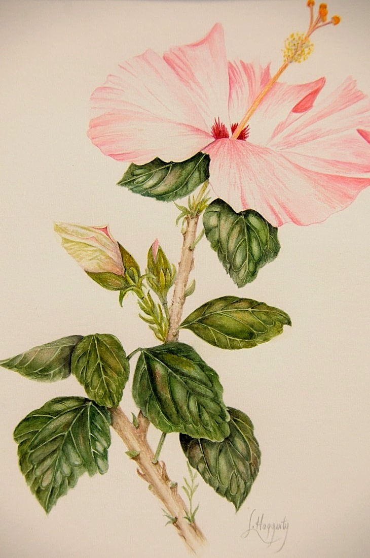2015-3-2PhilaFlowerMuseum 1549_01.JPG