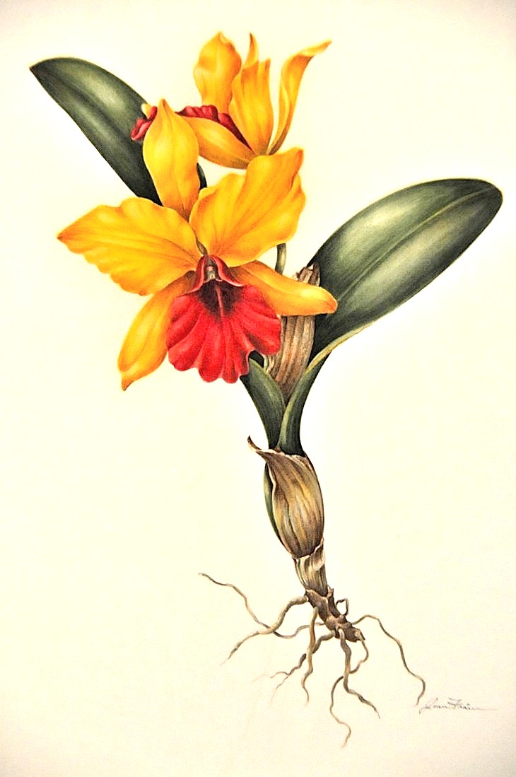 2015-3-2PhilaFlowerMuseum 1552_01.JPG