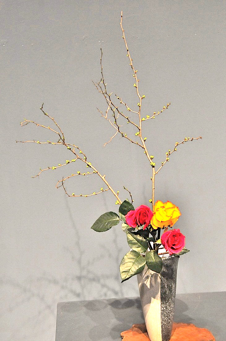 2015-3-2PhilaFlowerMuseum 1275_01.JPG
