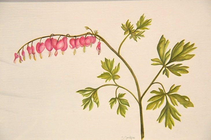2015-3-2PhilaFlowerMuseum 1550_01.JPG