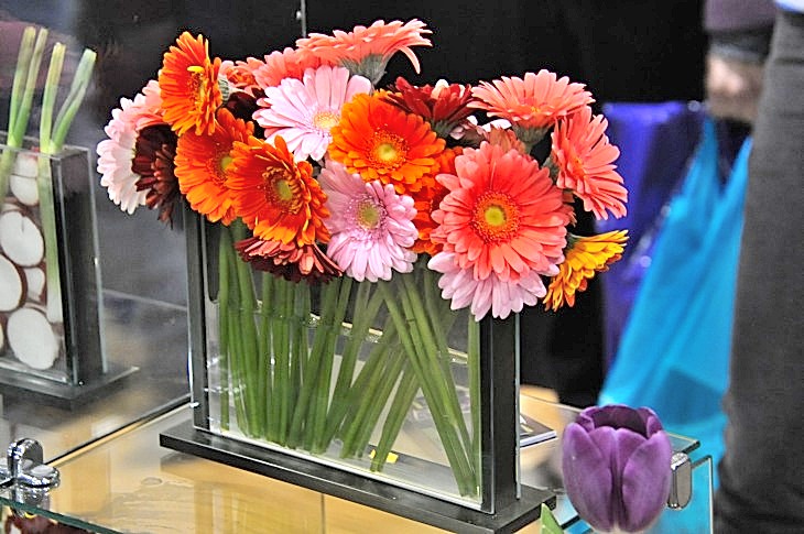 2015-3-2PhilaFlowerMuseum 1676_01.JPG