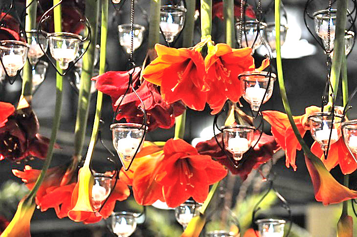 2015-3-2PhilaFlowerMuseum 1431_01.JPG