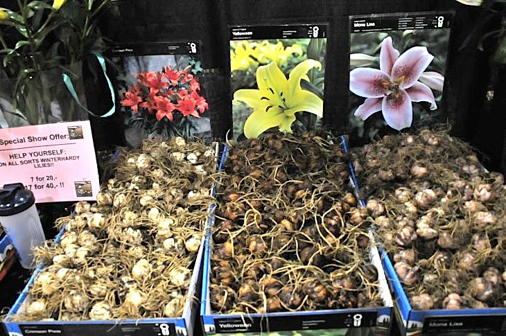 2015-3-2PhilaFlowerMuseum 1956_01.JPG