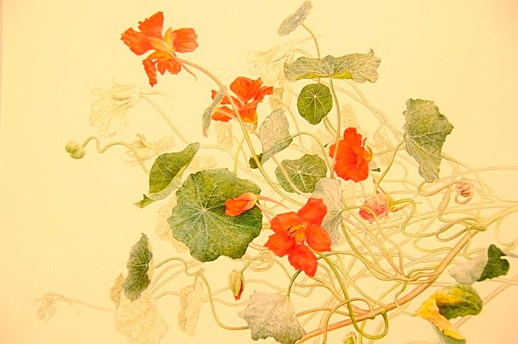 2015-3-2PhilaFlowerMuseum 1559_01.JPG