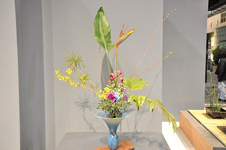 2015-3-2PhilaFlowerMuseum 1277_01.JPG