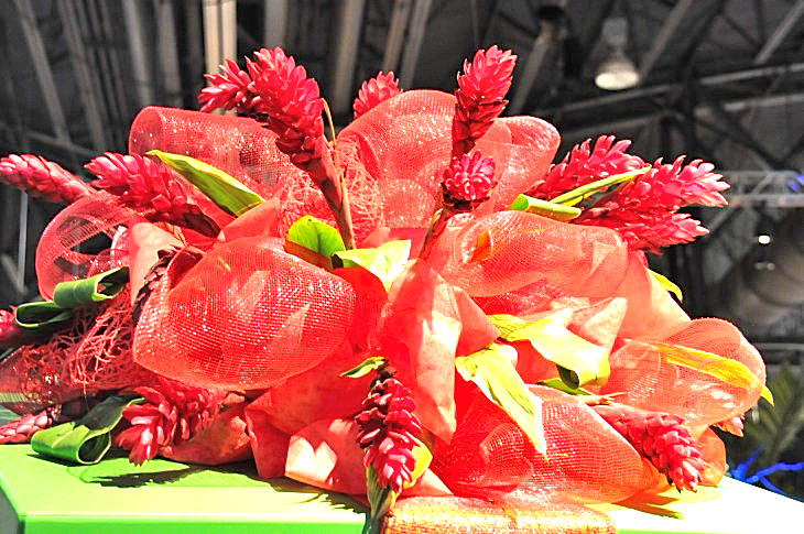 2015-3-2PhilaFlowerMuseum 1485_01.JPG
