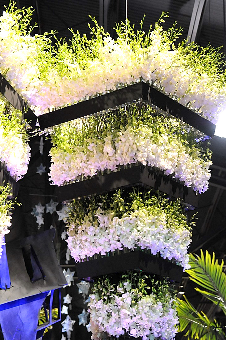 2015-3-2PhilaFlowerMuseum 1475_01.JPG