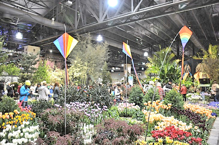 2015-3-2PhilaFlowerMuseum 1317_01.JPG