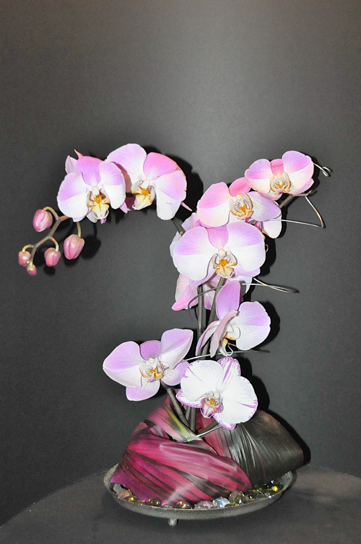 2015-3-2PhilaFlowerMuseum 1404_01.JPG