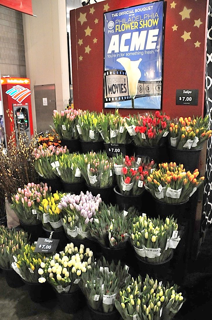2015-3-2PhilaFlowerMuseum 1646_01.JPG