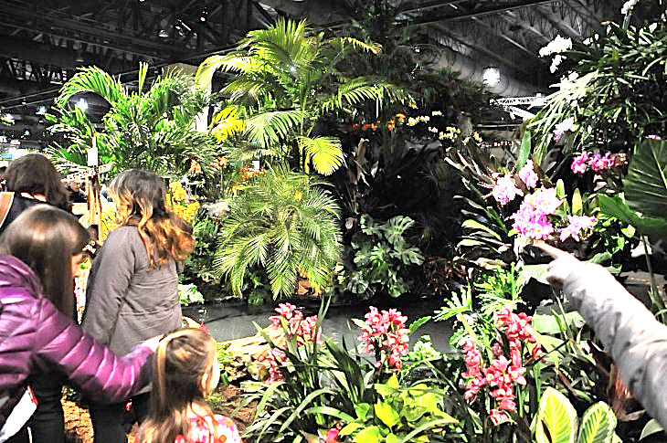 2015-3-2PhilaFlowerMuseum 1326_01.JPG