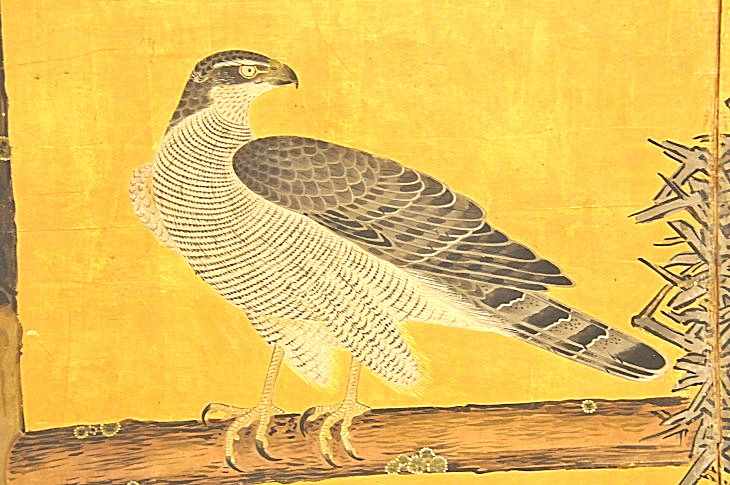 2015-3-2PhilaFlowerMuseum 771_01.JPG