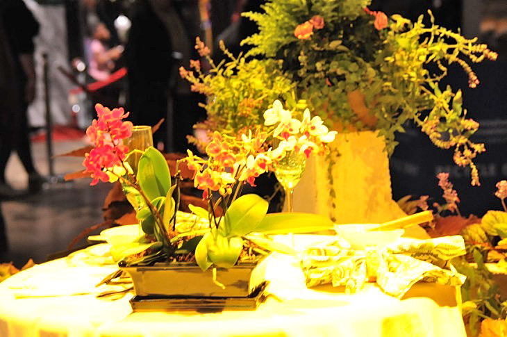 2015-3-2PhilaFlowerMuseum 1376_01.JPG