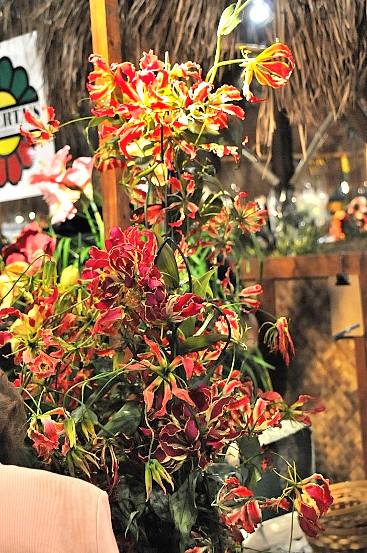 2015-3-2PhilaFlowerMuseum 1802_01.JPG