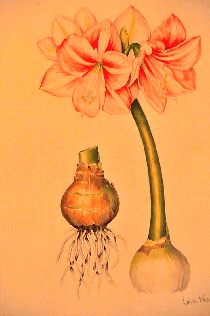 2015-3-2PhilaFlowerMuseum 1561_01.JPG