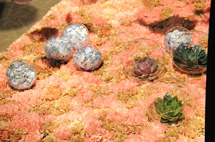 2015-3-2PhilaFlowerMuseum 1227_01.JPG