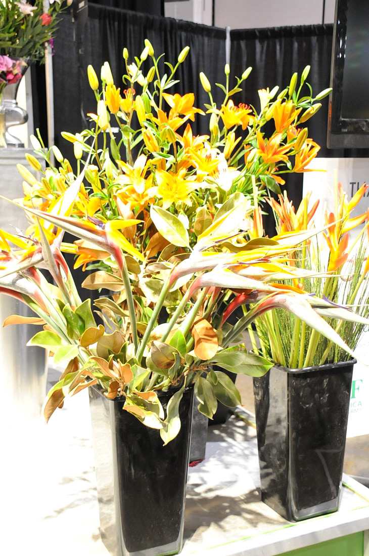 2015-3-2PhilaFlowerMuseum 1363_01.JPG