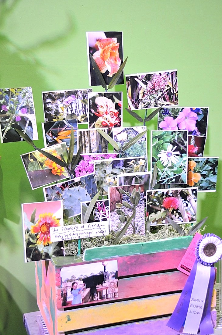 2015-3-2PhilaFlowerMuseum 1618_01.JPG
