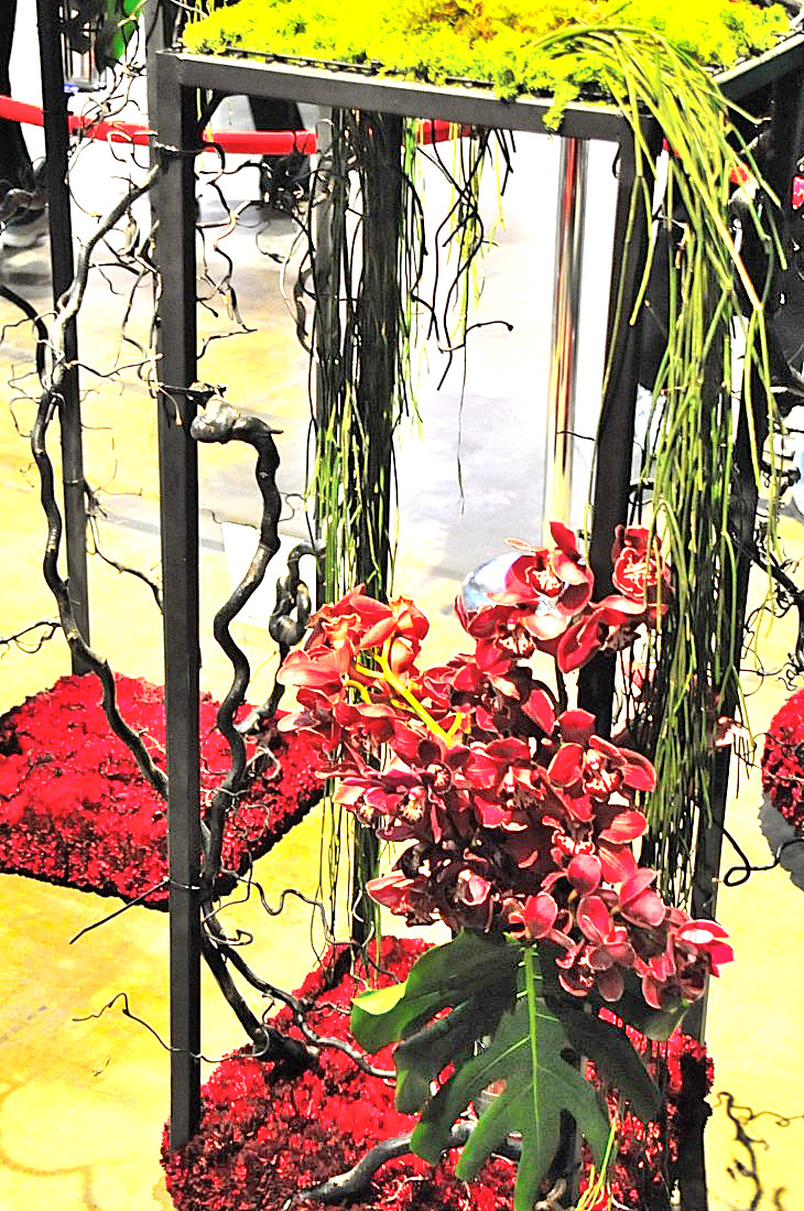 2015-3-2PhilaFlowerMuseum 1196_01.JPG