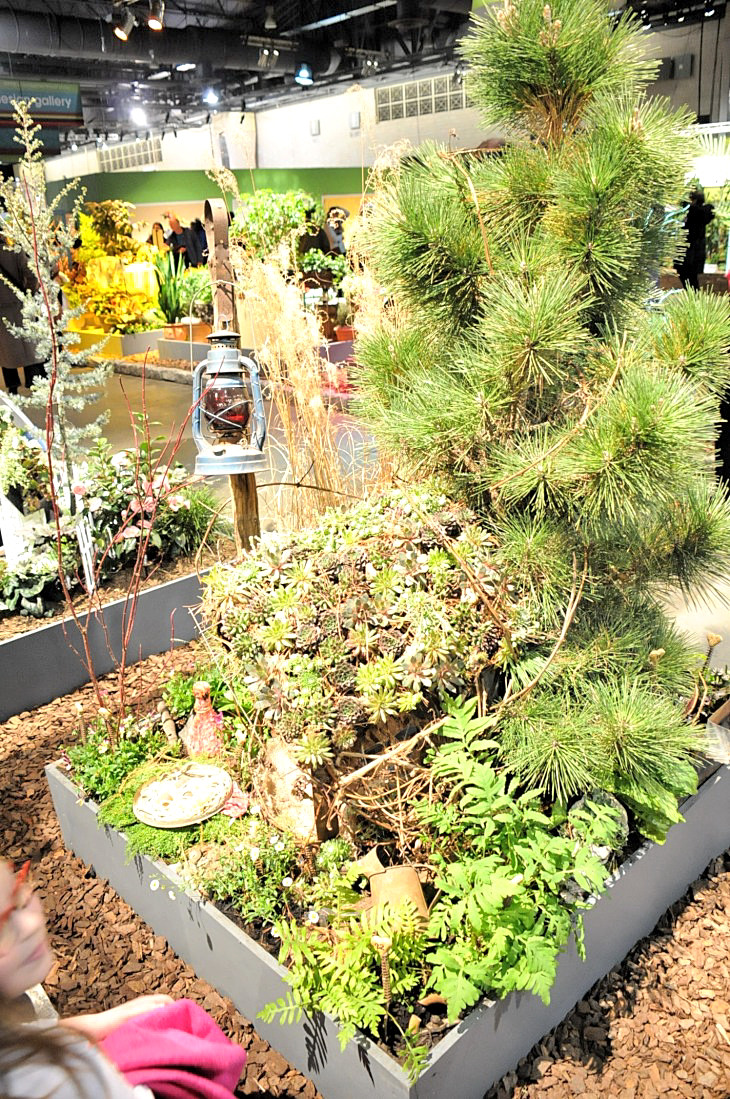 2015-3-2PhilaFlowerMuseum 1248_01.JPG